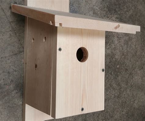 metal fronts for bird boxes|diy bird nest box.